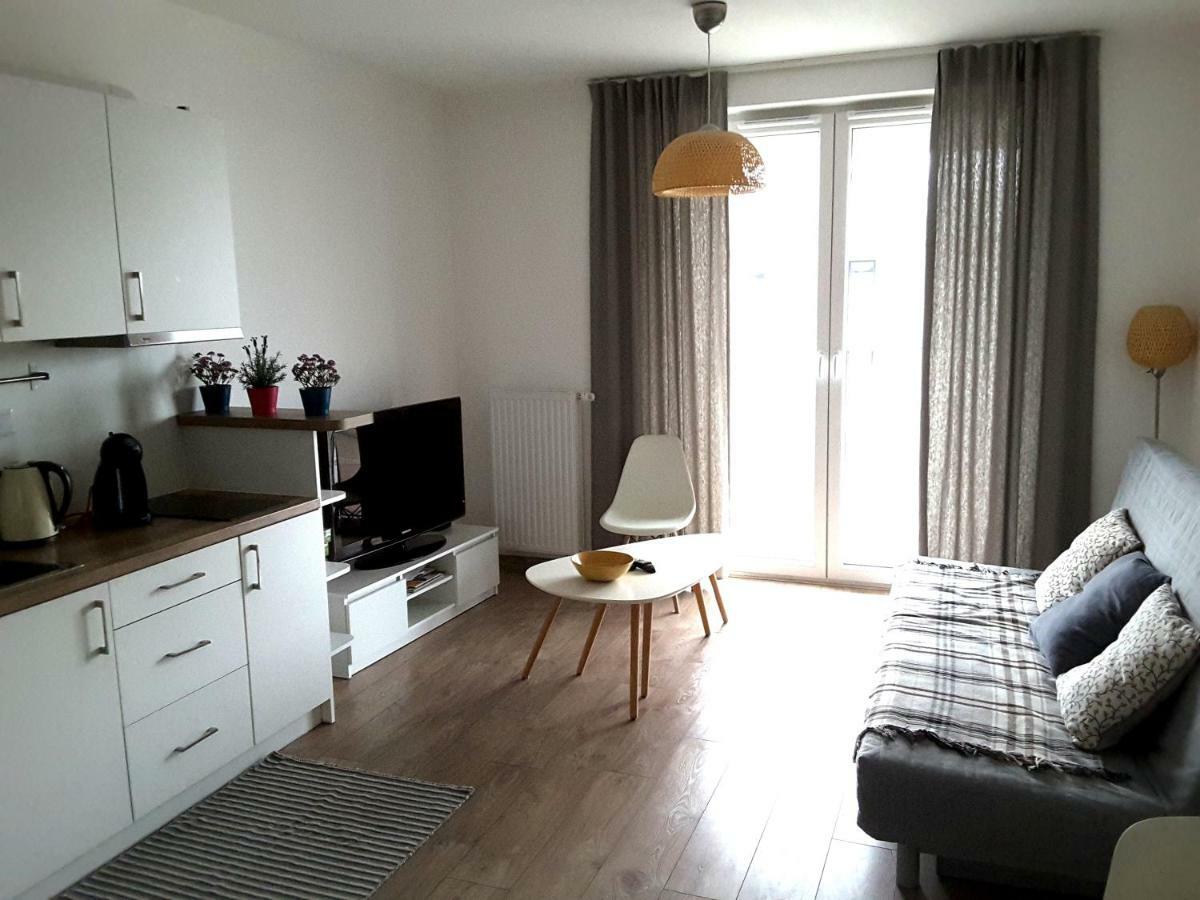 White Swan Apartment クラクフ エクステリア 写真