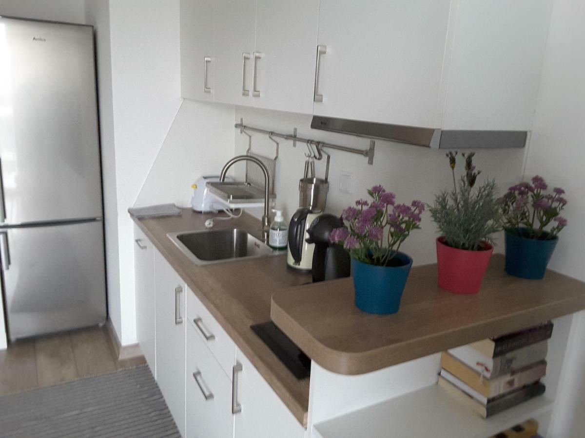White Swan Apartment クラクフ エクステリア 写真